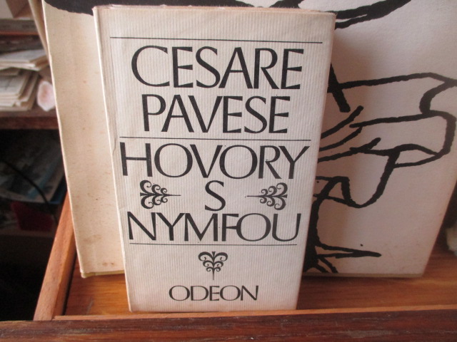 Zav��t okno