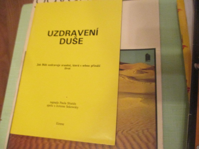 Zav��t okno
