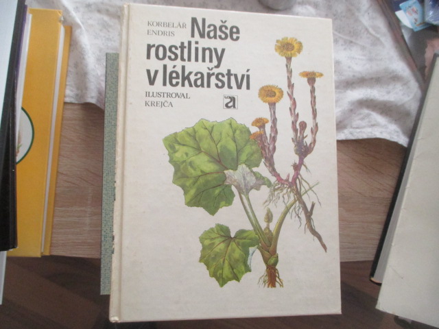 Zav��t okno