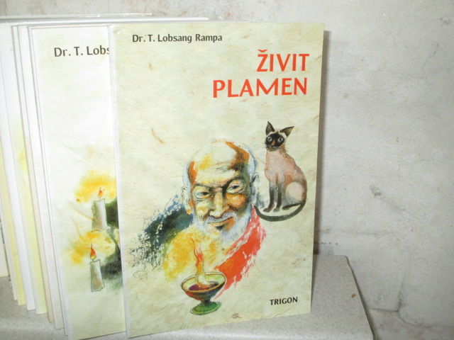 Zav��t okno
