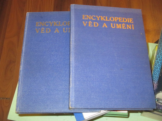 Zav��t okno