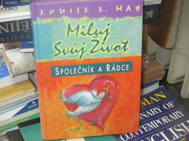 Zav��t okno