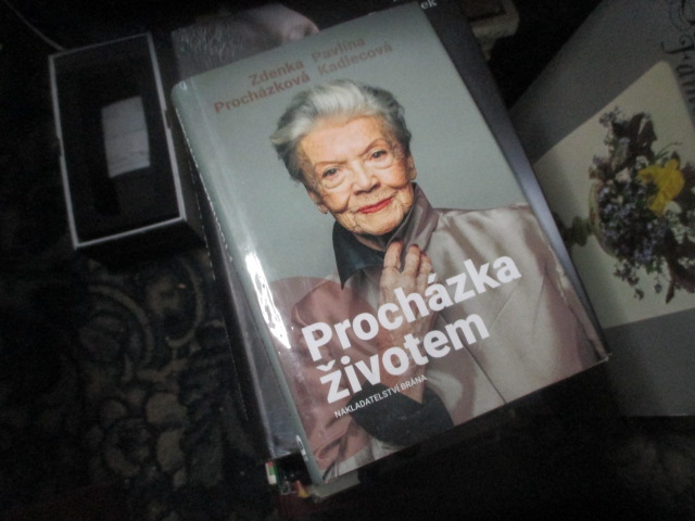 Zav��t okno