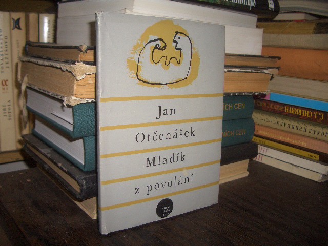 Zav��t okno