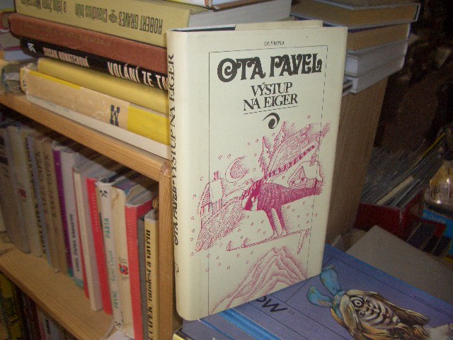 Zav��t okno