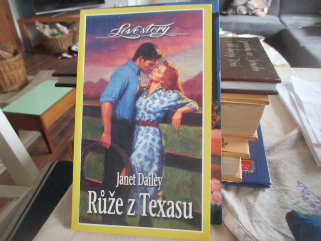 Zav��t okno