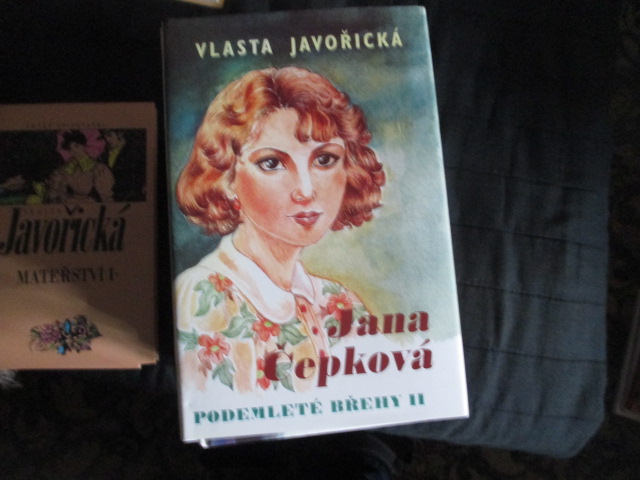 Zav��t okno