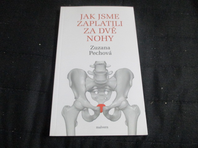 Zav��t okno