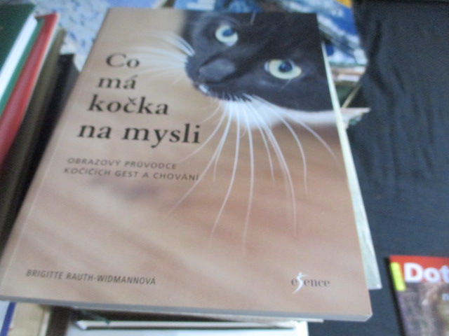 Zav��t okno