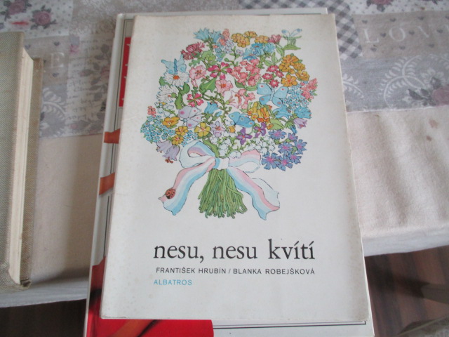 Zav��t okno