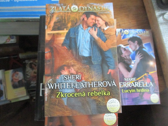 Zav��t okno