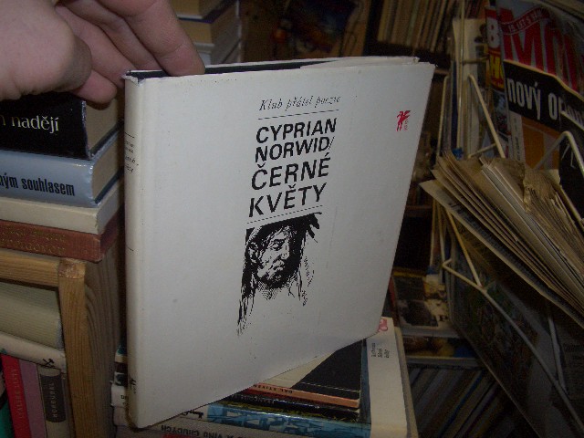 Zav��t okno