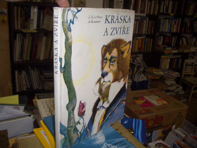 Zav��t okno