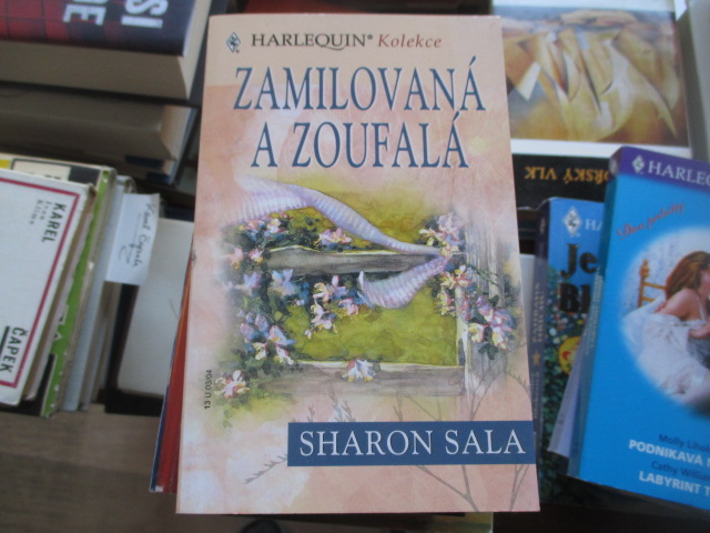 Zav��t okno