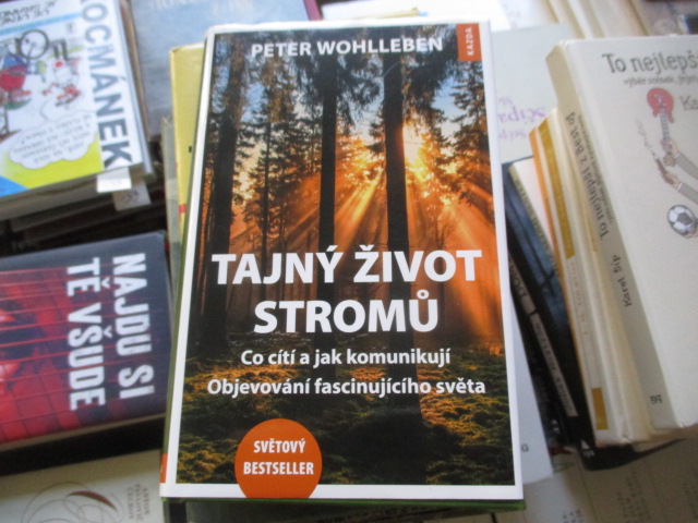Zav��t okno