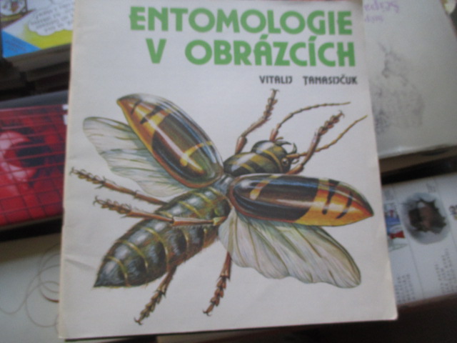 Zav��t okno