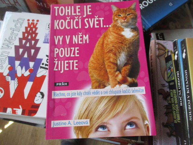Zav��t okno