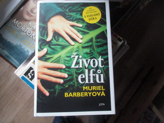 Zav��t okno