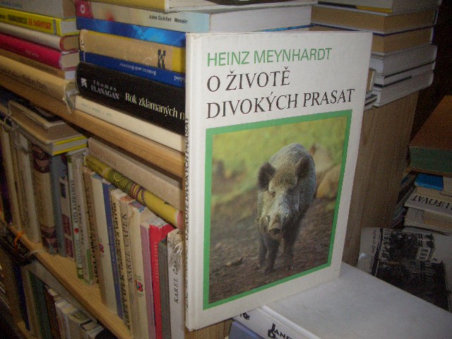 Zav��t okno