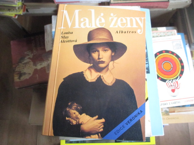 Zav��t okno