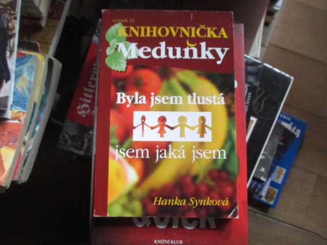Zav��t okno